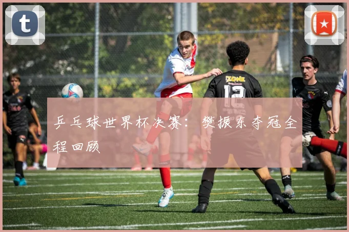 乒乓球世界杯决赛：樊振东夺冠全程回顾
