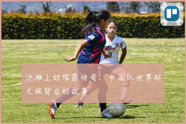 沙滩上的绿茵传奇:中国队世界杯之旅背后的故事