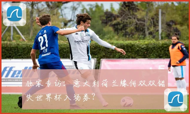 独家专访：意大利荷兰缘何双双错失世界杯入场券？