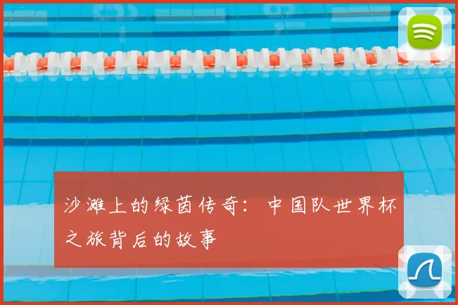 沙滩上的绿茵传奇:中国队世界杯之旅背后的故事