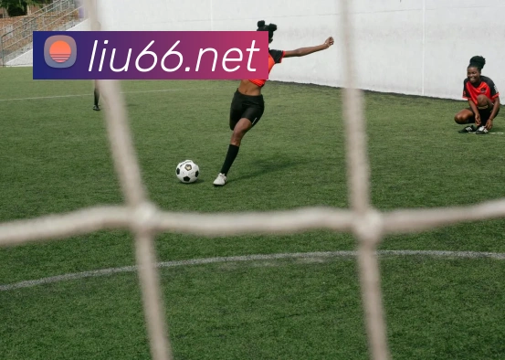 mk官网入口服务体系